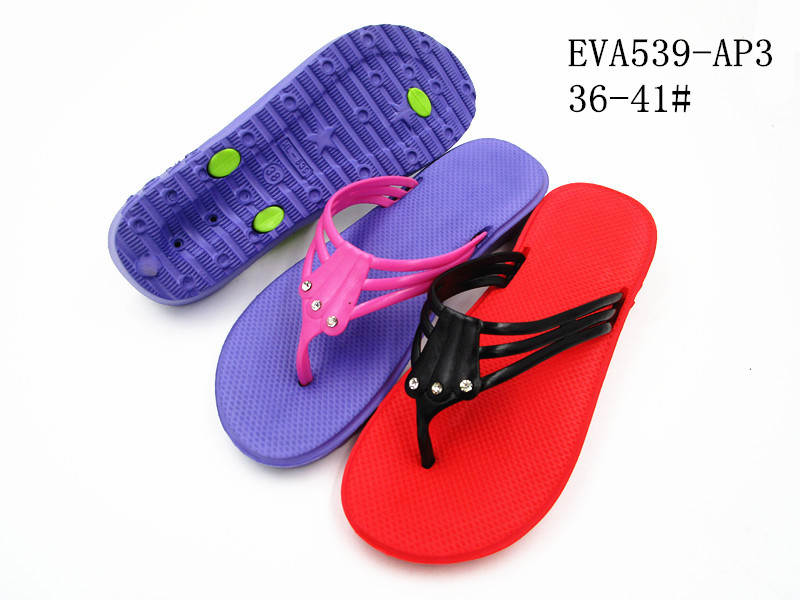 EVA539-AP3