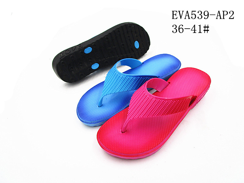 EVA539-AP2