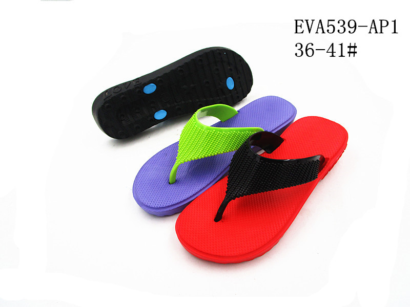 EVA539-AP1