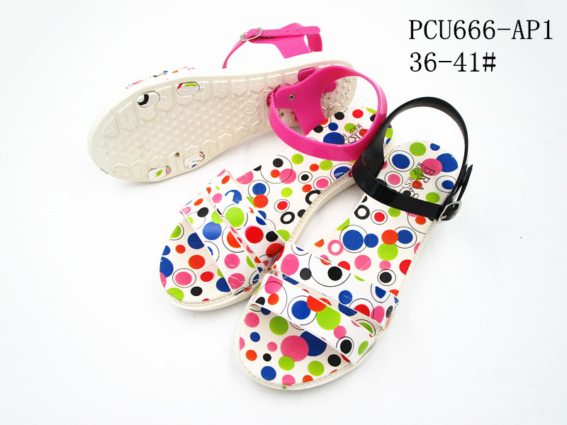 PCU666-AP1