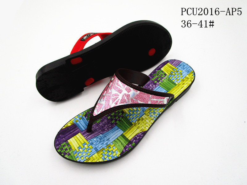 PCU2016-AP5