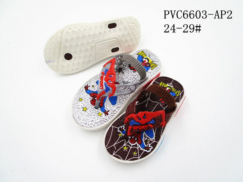 PVC6603-AP2