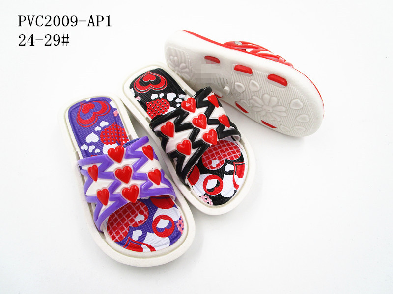 PVC2009-AP1