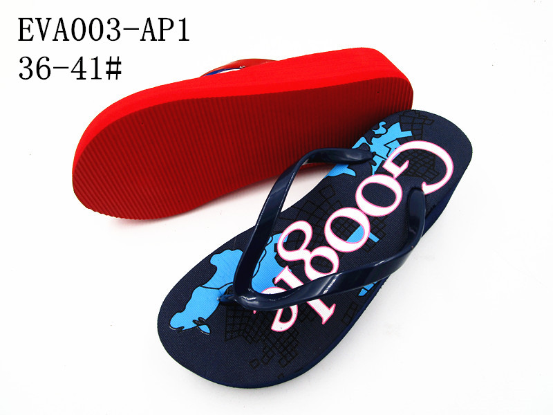 EVA003-AP1