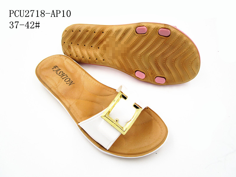 PCU2718-AP10