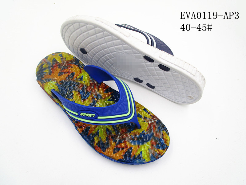 EVA0119-AP3