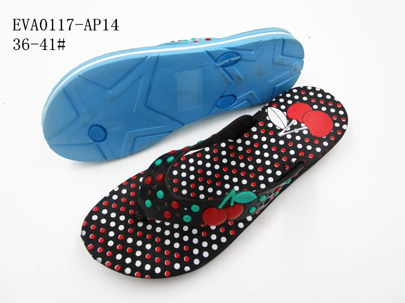 EVA0117-AP14