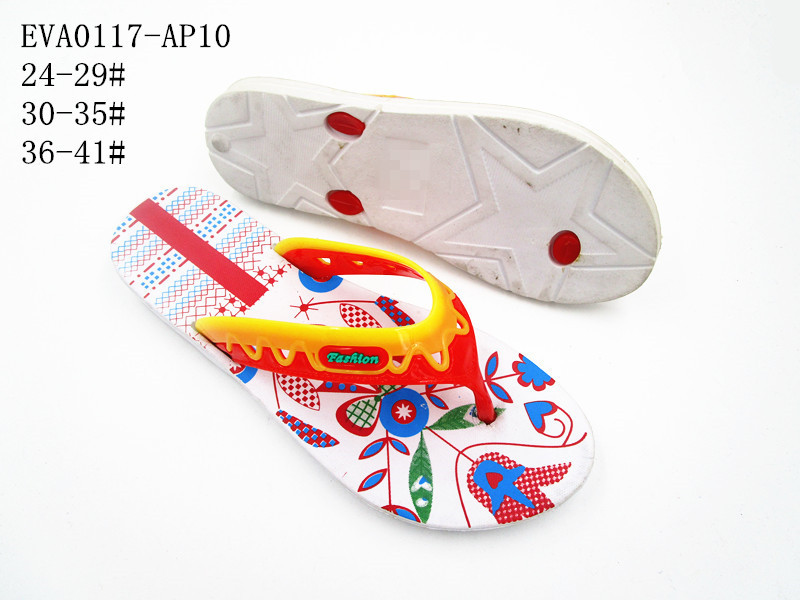 EVA0117-AP10