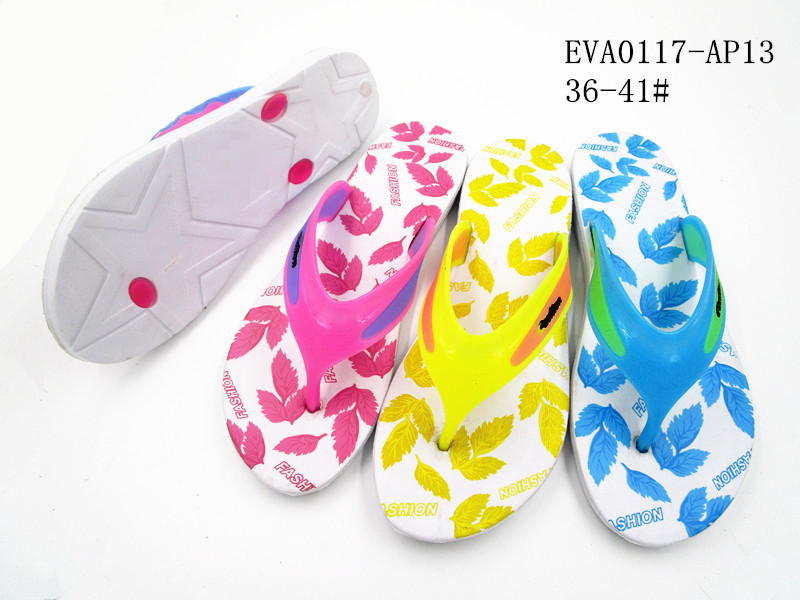 EVA0117-AP13