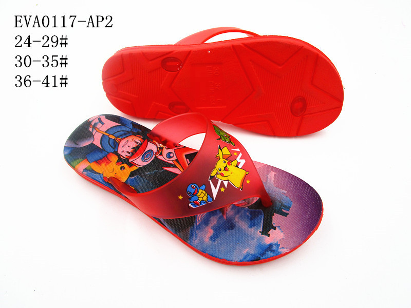EVA0117-AP2