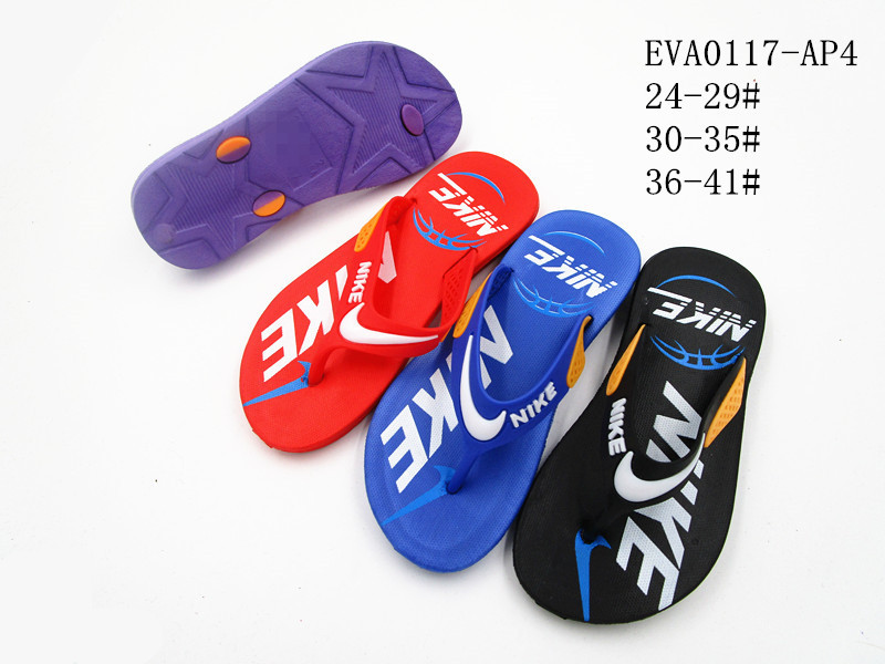 EVA0117-AP4