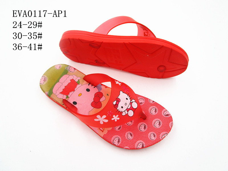 EVA0117-AP1