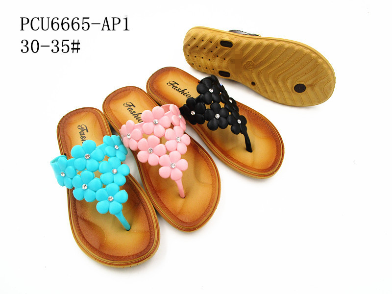 PCU6665-AP1