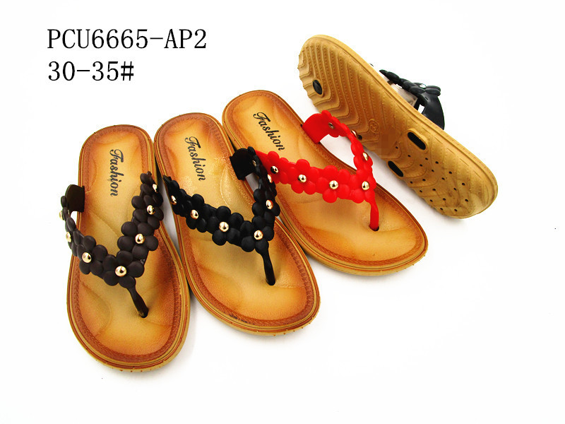 PCU6665-AP2