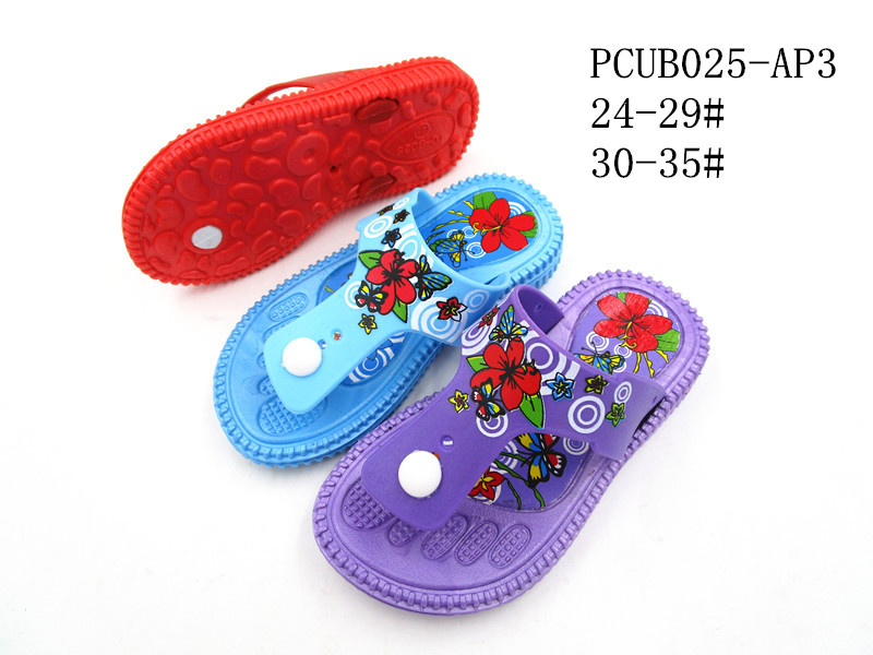 PCUB025-AP3