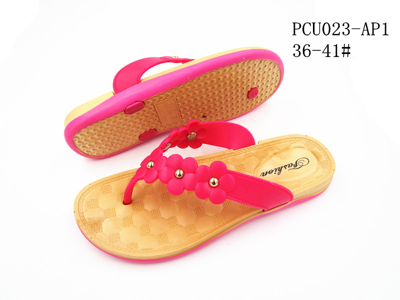 PCU023-AP1