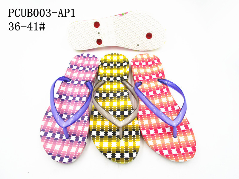 PCUB003-AP1