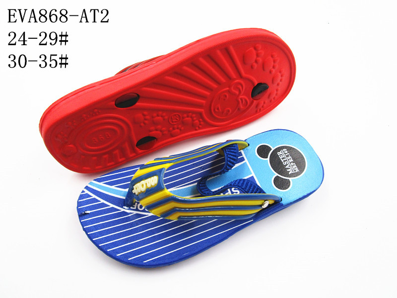EVA868-AT2