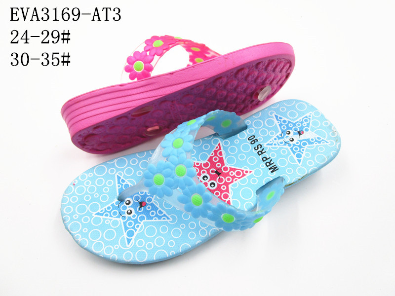 EVA3169-AT3