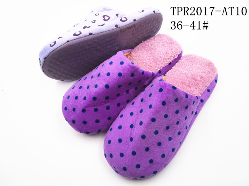 TPR2017-AT10