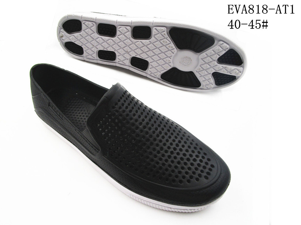EVA818-AT1