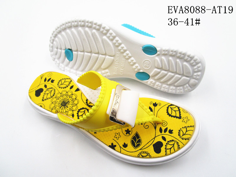 EVA8088-AT19