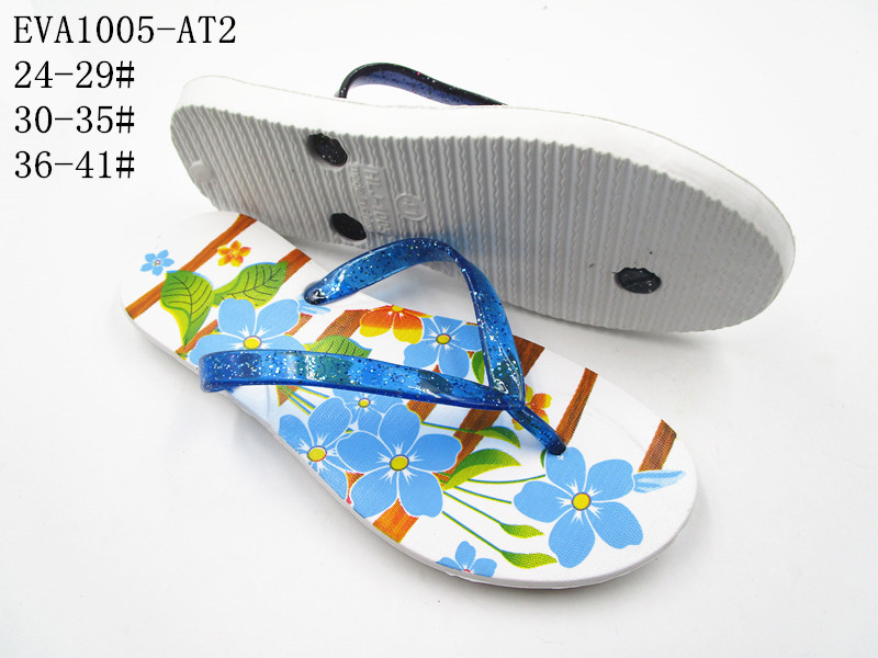 EVA1005-AT2