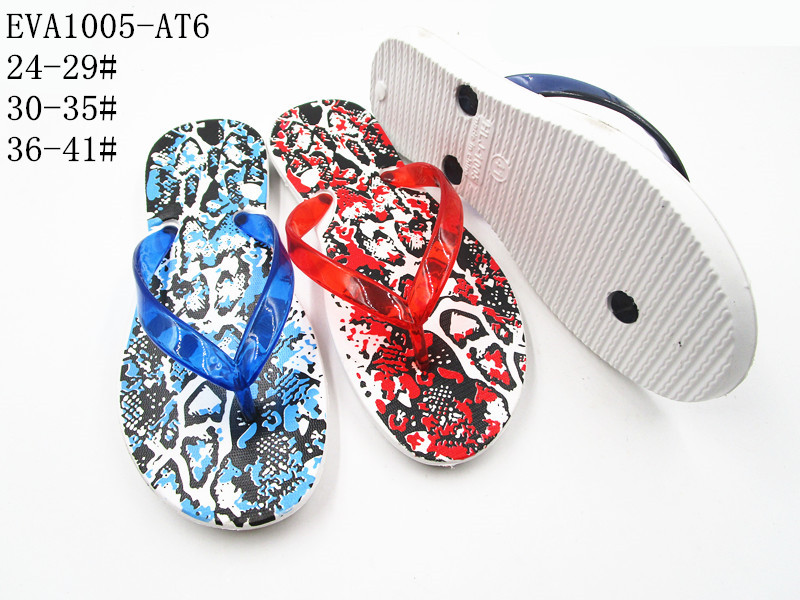 EVA1005-AT6