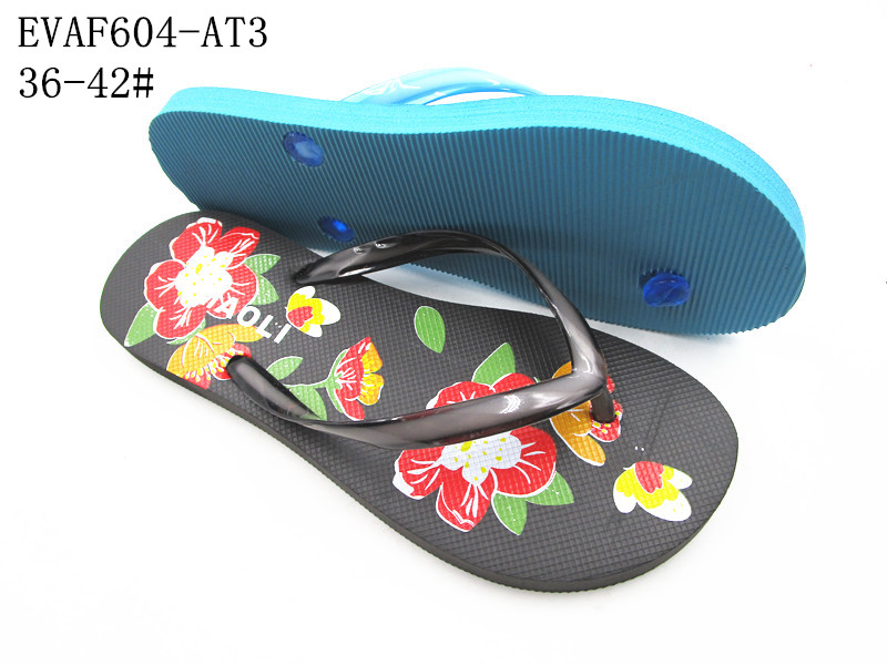 EVAF604-AT3
