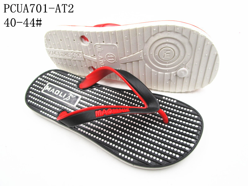 PCUA701-AT2