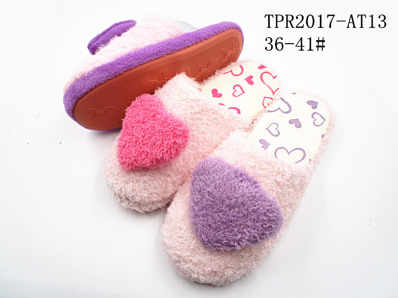 TPR2017-AT13