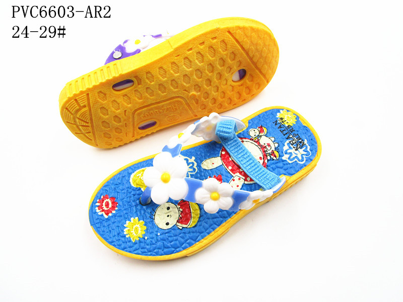 PVC6603-AR2