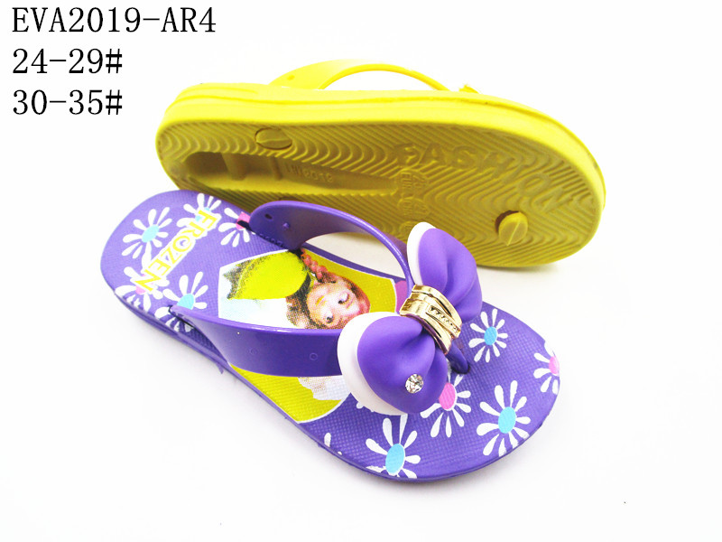 EVA2019-AR4