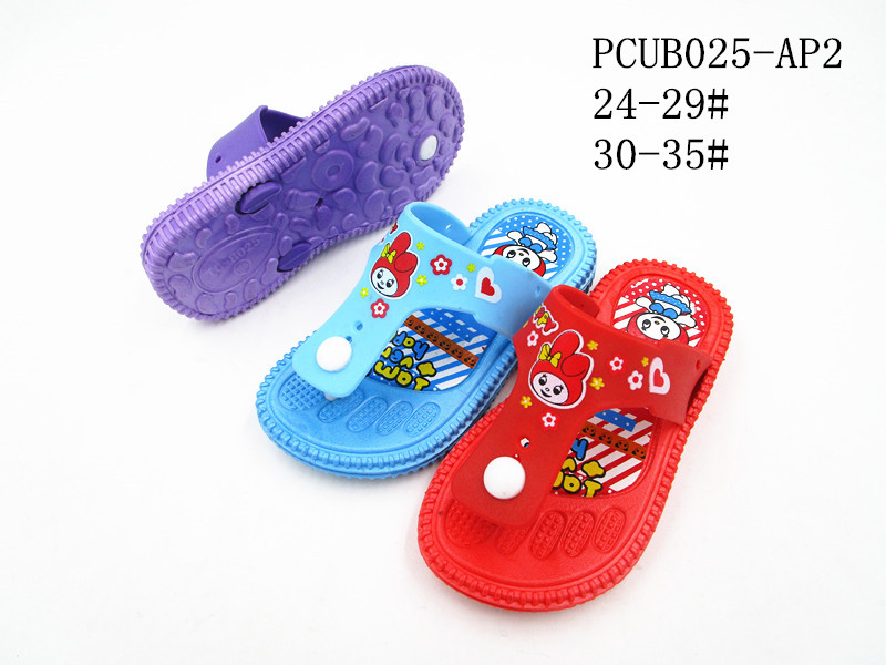 PCUB025-AP2
