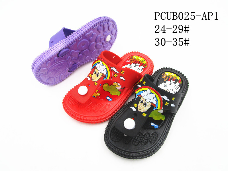 PCUB025-AP1