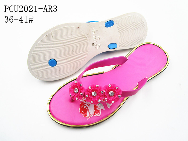 PCU2021-AR3