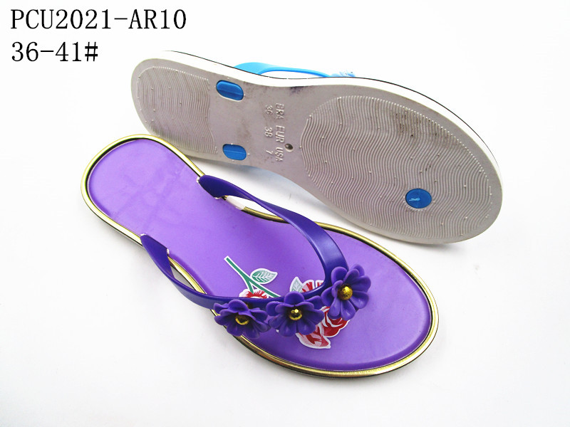 PCU2021-AR10