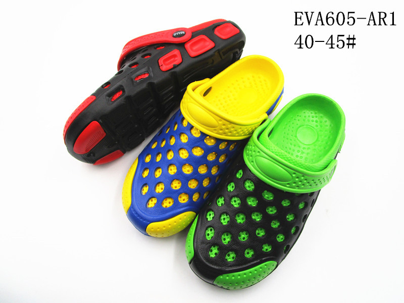 EVA605-AR1