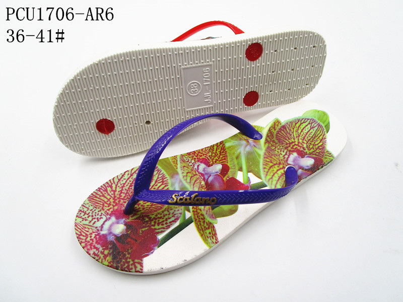 PCU1706-AR6