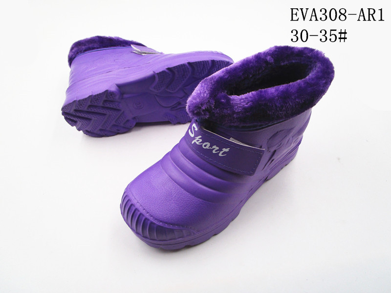 EVA308-AR1