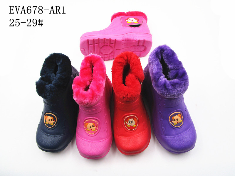 EVA678-AR1