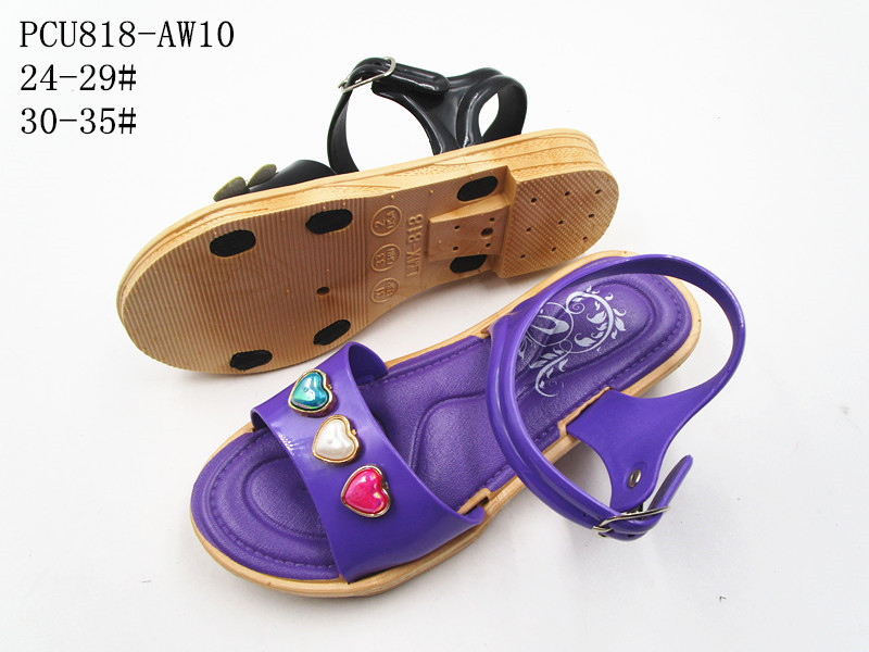 PCU818-AW10